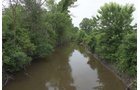 Pond on a farm in Lake County, Indiana - LAND AUCTION - 147+/- ACRES OFFERED IN 3 TRACTS IN LAKE COUNTY, INDIANA
